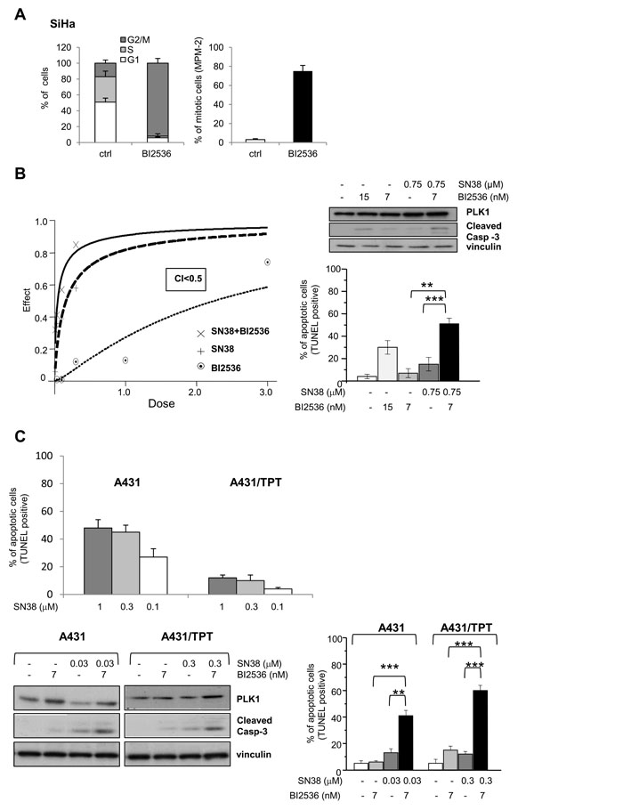 fig4