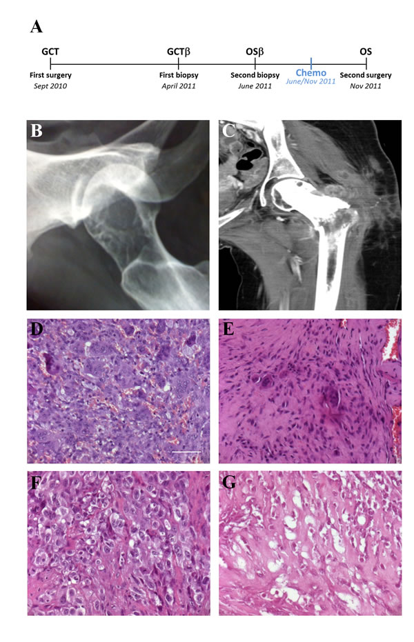 fig1
