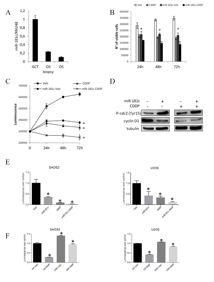 fig6