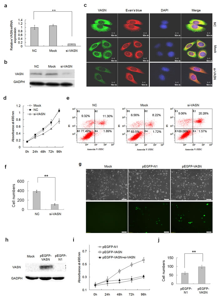 fig3
