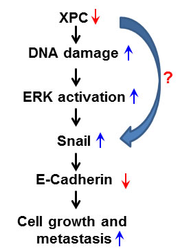 fig7