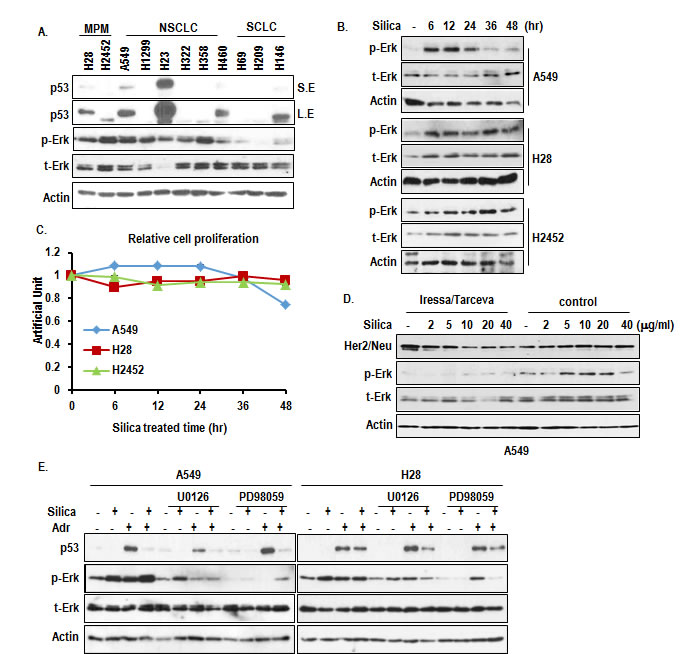 fig1