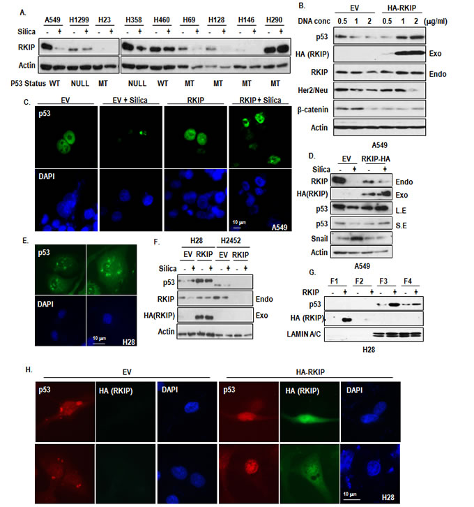 fig3