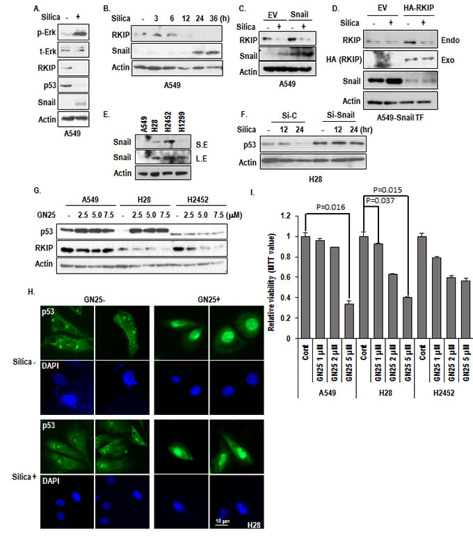 fig4