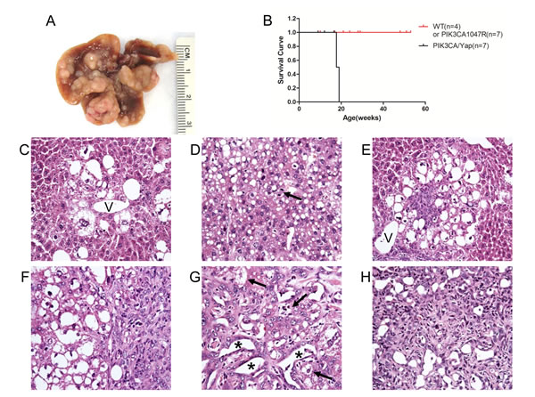 fig1