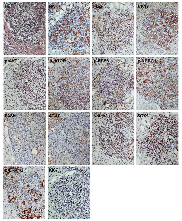 fig3