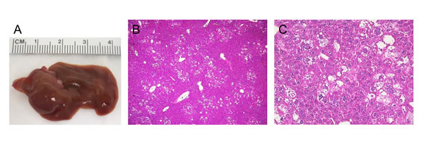 fig5