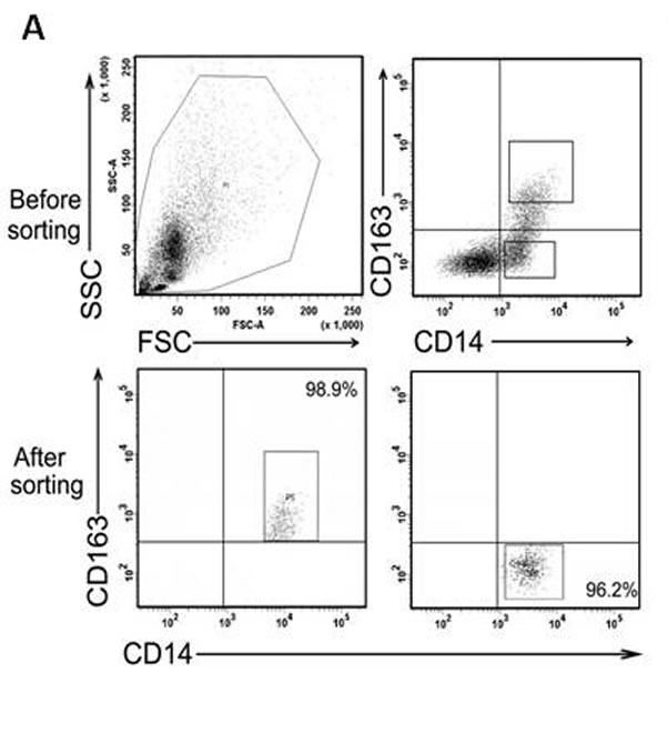 fig2a