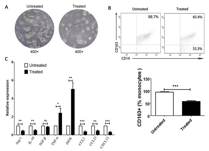 fig4
