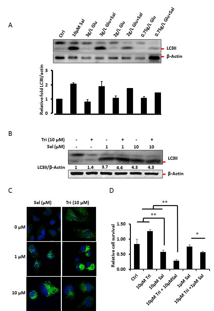 fig4