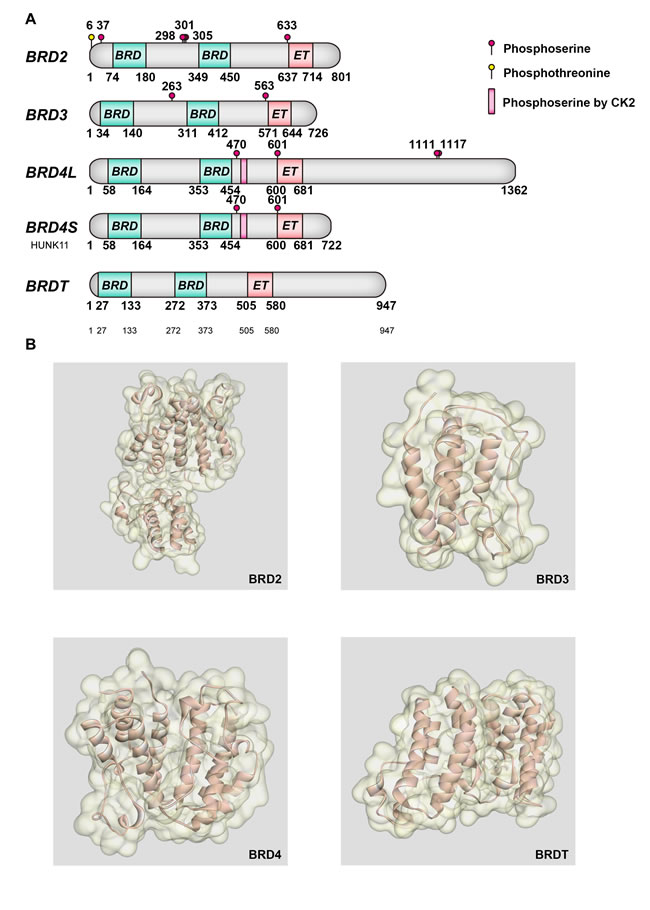 fig1
