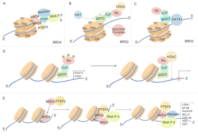 fig2