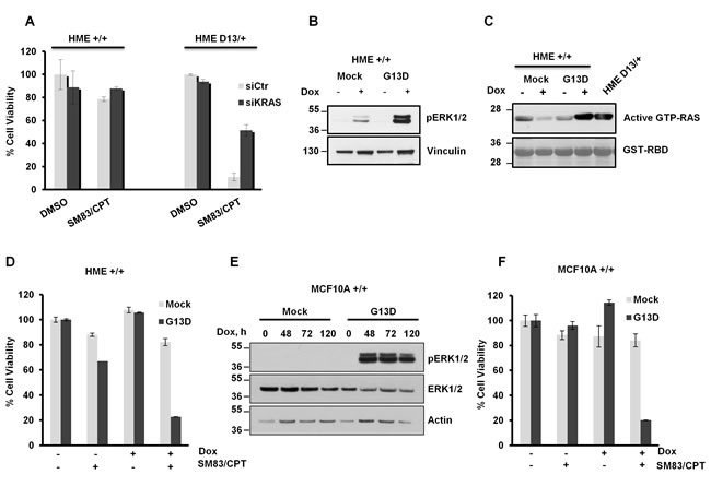 fig2