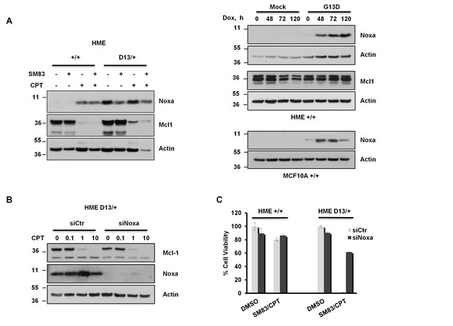fig3