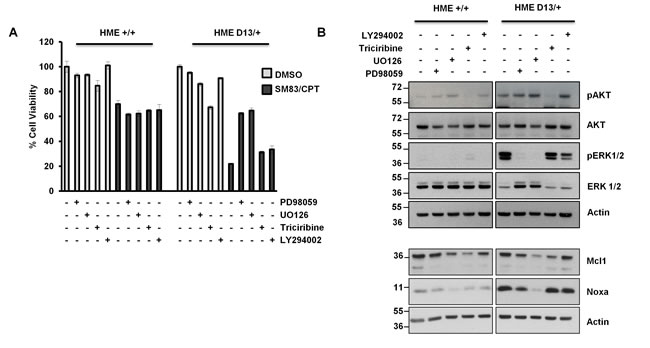fig4