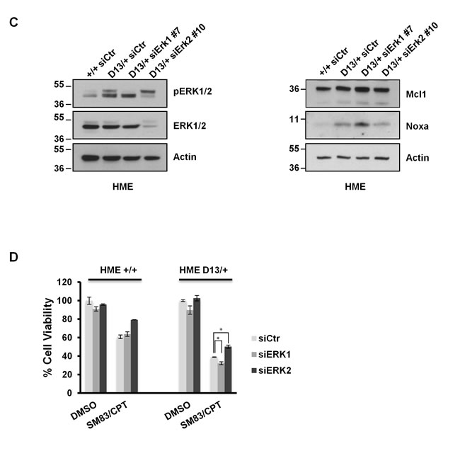 fig4a