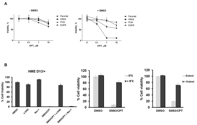 fig1