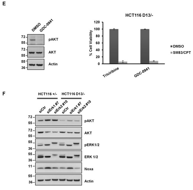fig6a