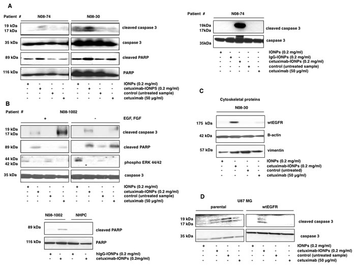 fig3