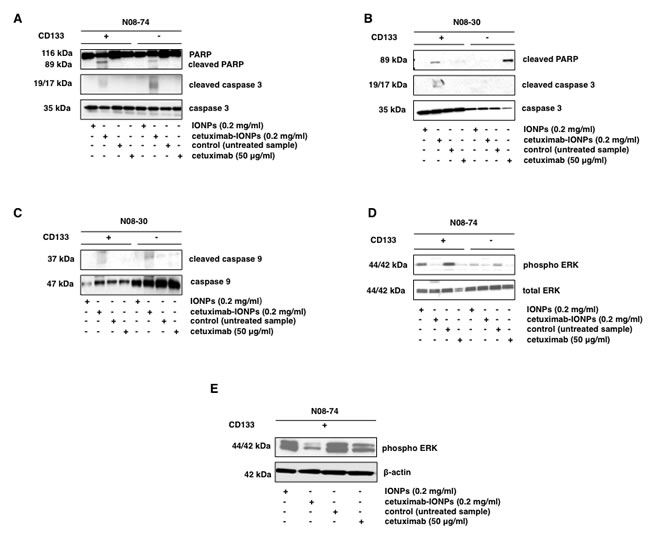 fig6
