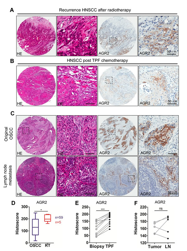 FIG3