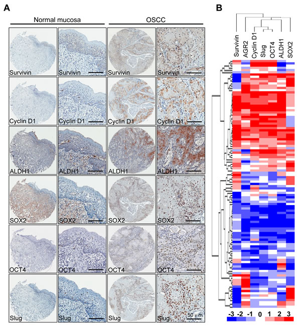 FIG4