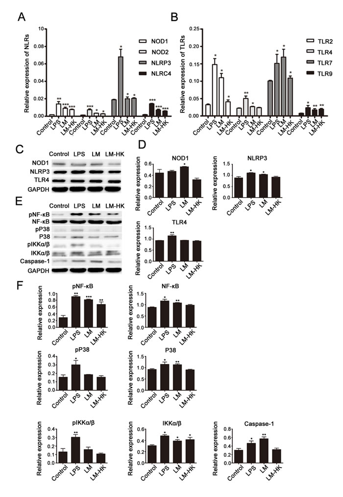 fig2