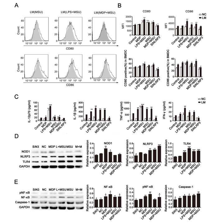 fig3