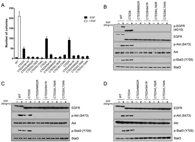 fig4
