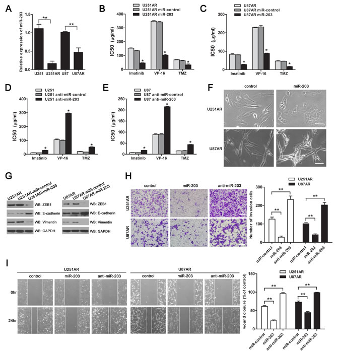 fig3