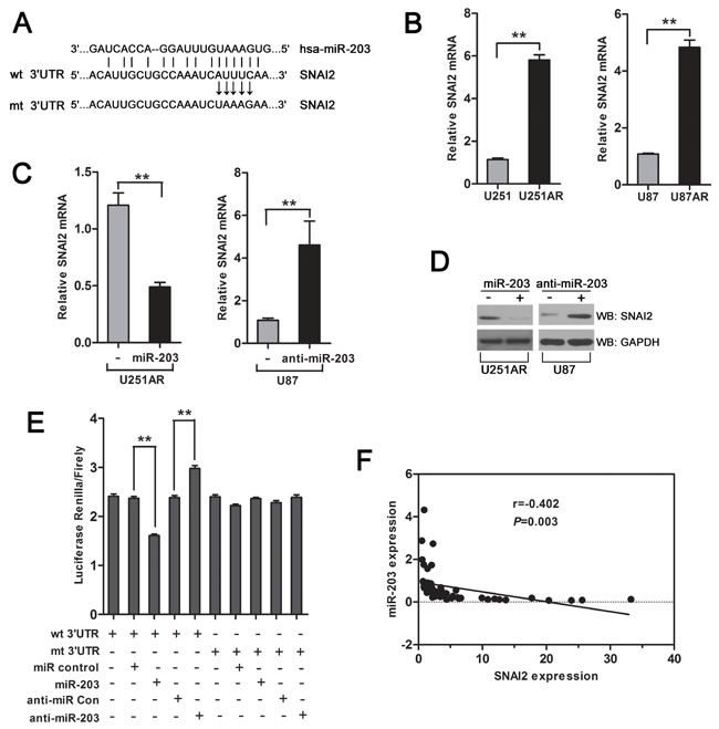 fig4