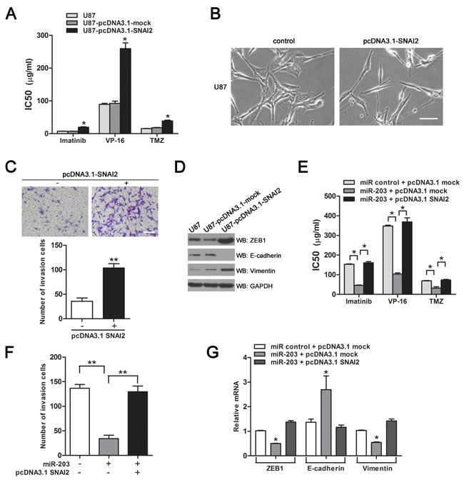 fig6