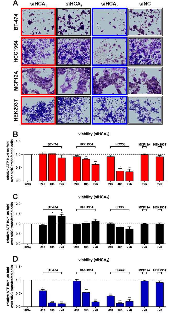 fig4