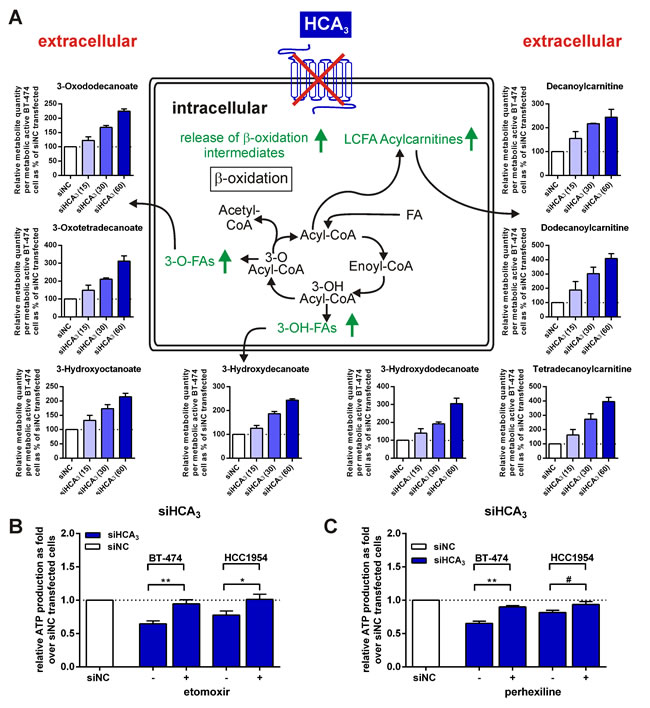 fig6