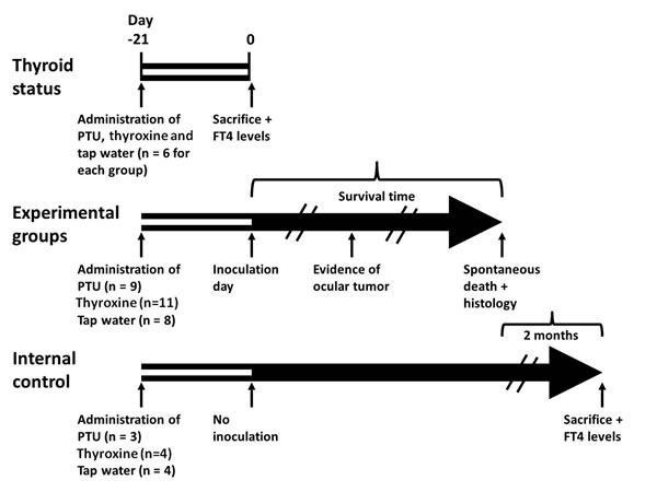 fig2