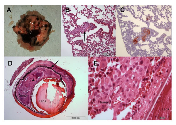 fig3