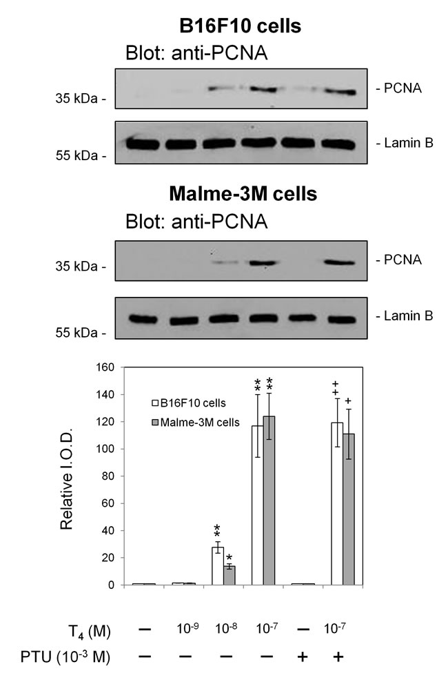 fig6