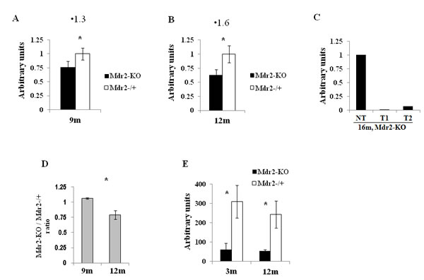 fig4