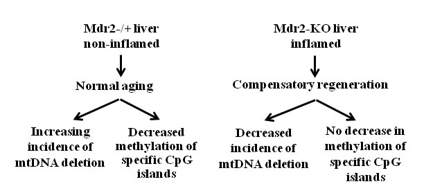 fig5