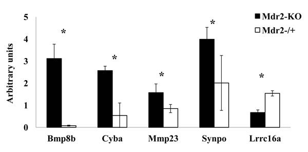 fig6