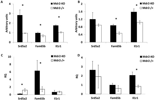 fig7