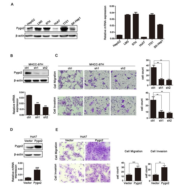 fig1