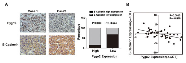 fig3