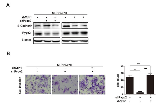 fig4