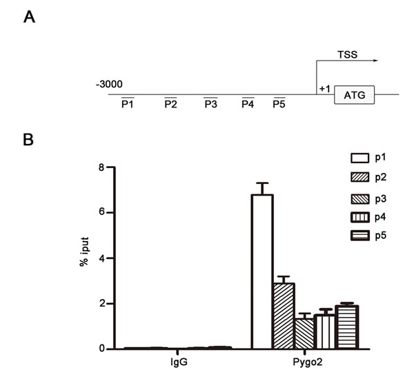 fig5