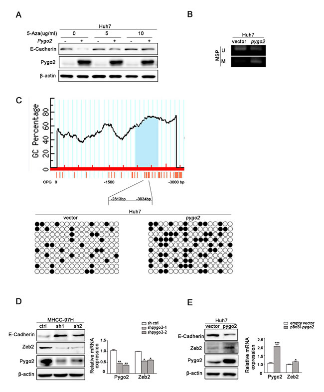 fig6
