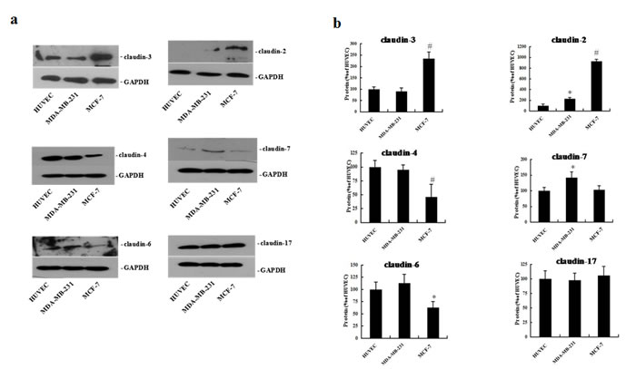 fig2