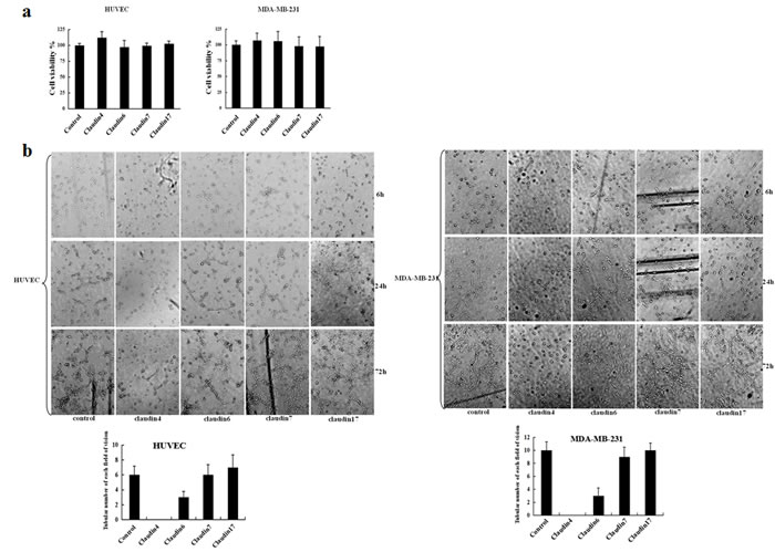 fig3