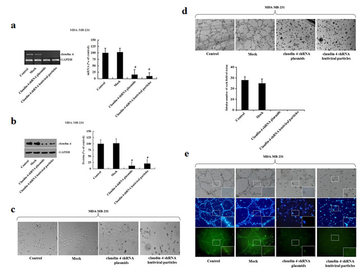 fig4