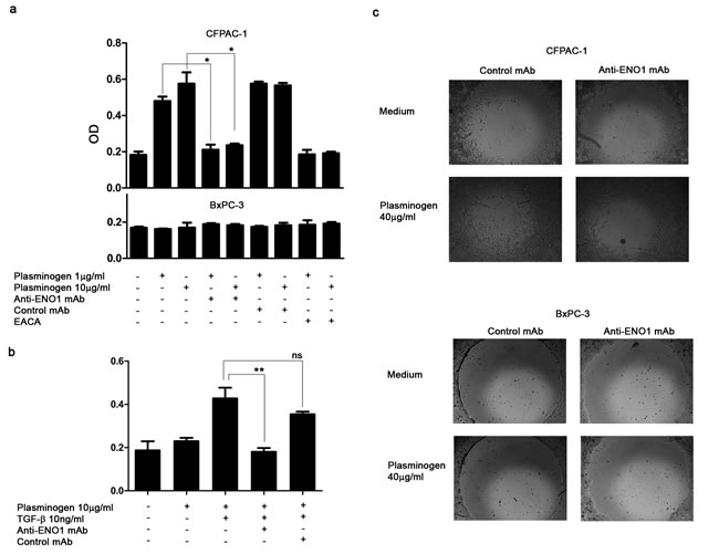 fig2